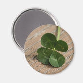 vierblättriges Kleeblatt Magnet (Vorderseite/Rückseite)