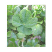 vierblättriges Kleeblatt Notizblock (Vorderseite)