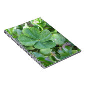 vierblättriges Kleeblatt Notizblock (Rechte Seite)