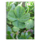 vierblättriges Kleeblatt Notizblock (Vorderseite)