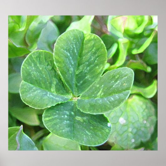 vierblättriges Kleeblatt Poster (Vorne)