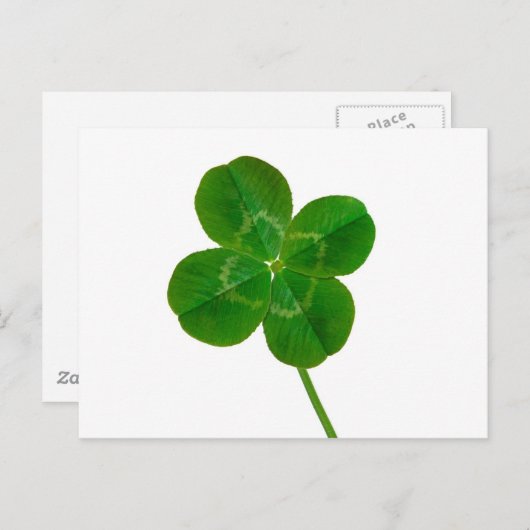 Vierblättriges Kleeblatt Postkarte (Vorne/Hinten)