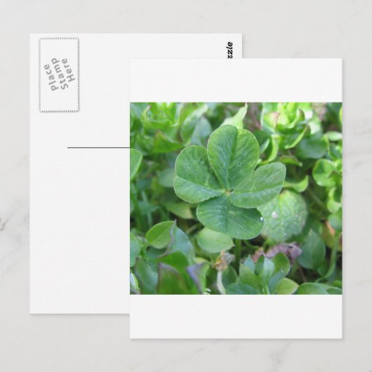 vierblättriges Kleeblatt Postkarte (Vorne/Hinten)