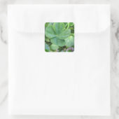 vierblättriges Kleeblatt Quadratischer Aufkleber (Tasche)