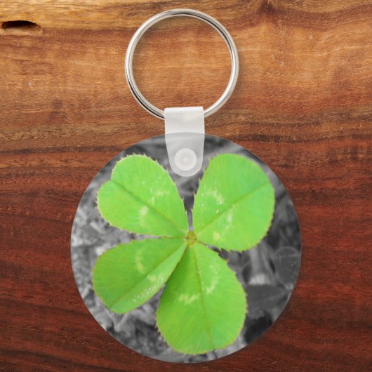 vierblättriges Kleeblatt Schlüsselanhänger - Schwa (Vorderseite)