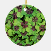Vierblättriges Kleeblatt, Sorrel, mit Dew Keramik Ornament (Vorne)