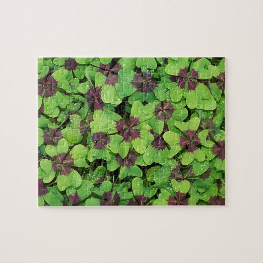 Vierblättriges Kleeblatt, Sorrel, mit Dew Puzzle (Horizontal)