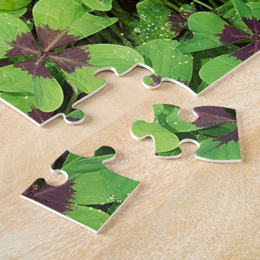 Vierblättriges Kleeblatt, Sorrel, mit Dew Puzzle (Seite)