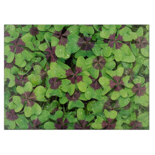 Vierblättriges Kleeblatt, Sorrel nach Regen Schneidebrett