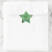 vierblättriges Kleeblatt Stern-Aufkleber (Tasche)