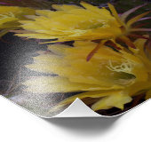 Vierfache der Kakteen-Blume Fotodruck (Ecke)