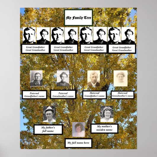 Viergenerationen Herbst Cottonwood Family Tree Fot Poster (Vorne)