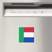 Vierkleur Magnet (In Situ (Geschirrspüler))