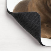Viermonatiger Schokolade-Labrador Welpengähne Mousepad (Ecke)