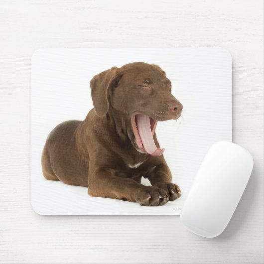 Viermonatiger Schokolade-Labrador Welpengähne Mousepad (Mit Mouse)