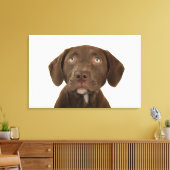 Viermonatiges Puppy-Labrador-Portrait Leinwanddruck (Insitu (Wohnzimmer))