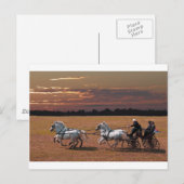 vierseitig postkarte (Vorne/Hinten)
