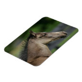 Viertelfinale Magnet (Linke Seite)