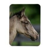 Viertelfinale Magnet (Vertikal)