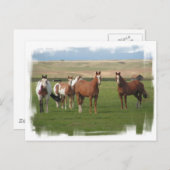 Viertelfinale Pferdeherde Postkarte (Vorne/Hinten)