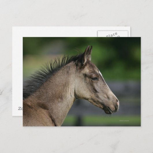 Viertelfinale Postkarte (Vorne/Hinten)