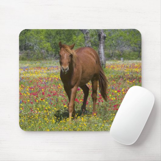 Vierteljahrpferd in Wildblumen Mousepad (Mit Mouse)