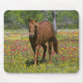 Vierteljahrpferd in Wildblumen Mousepad (Vorne)