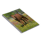 Vierteljahrpferd in Wildblumen Notizblock (Rechte Seite)