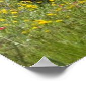Vierteljahrpferd in Wildblumen Poster (Ecke)
