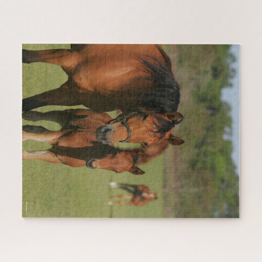 Vierteljahrpferde und Fohlen Stehend Puzzle (Horizontal)