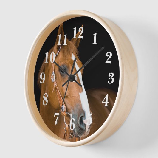 Viertelpferd Foto Braun weiß nummeriert Uhr (Winkel)