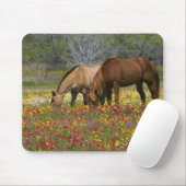 Viertelpferd im Feld der Wildblumen bei Cuero Mousepad (Mit Mouse)