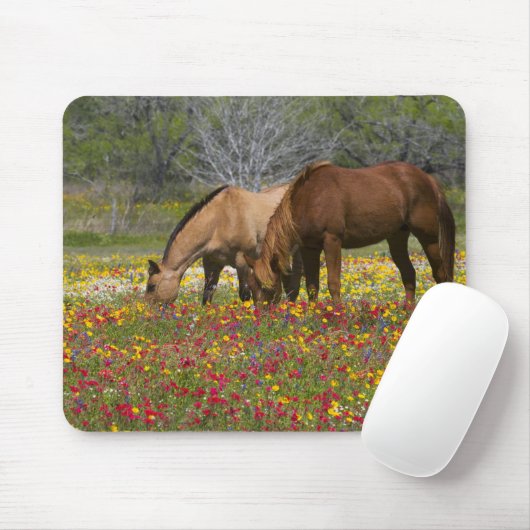 Viertelpferd im Feld der Wildblumen bei Cuero Mousepad (Mit Mouse)