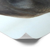 Viertelpferd Poster (Ecke)