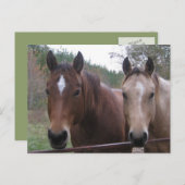 Viertelpferd Postkarte (Vorne/Hinten)