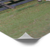 Viertelpferd und Miniatur zusammen Poster (Ecke)