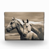 Viertelpferde auf der kanadischen Prärie Fotoblock (Vorderseite)