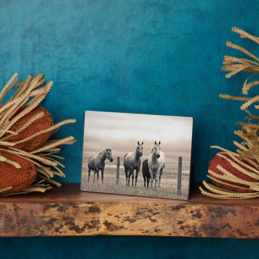 Viertelpferde auf der kanadischen Prärie Fotoplatte (Seite)