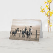 Viertelpferde auf der kanadischen Prärie Karte (Gelbe Blume)