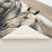 Viertelpferde auf der kanadischen Prärie Sherpadecke (3/4)