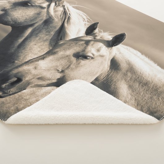 Viertelpferde auf der kanadischen Prärie Sherpadecke (3/4)