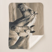 Viertelpferde auf der kanadischen Prärie Sherpadecke (Vorderseite)