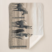 Viertelpferde auf der kanadischen Prärie Sherpadecke (Vorderseite)