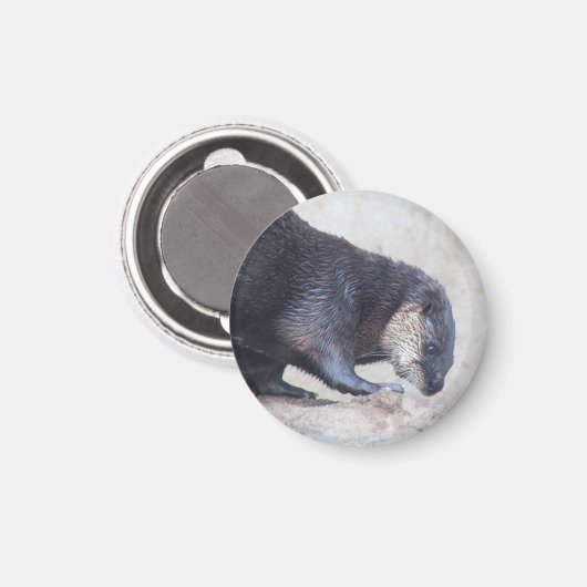 Viertelschläger Magnet (Vorderseite/Rückseite)