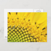 Viertelsonne Postkarte (Vorne/Hinten)