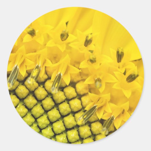 Viertelsonne Runder Aufkleber (Vorderseite)