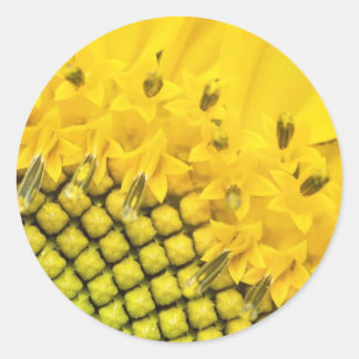 Viertelsonne Runder Aufkleber