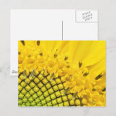 Viertersonne Postkarte (Vorne/Hinten)