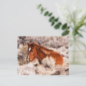 Vierty Winks Postkarte (Stehend Vorderseite)