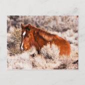 Vierty Winks Postkarte (Vorderseite)